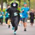 [CẬP NHẬT LIÊN TỤC] Tổng Hợp Các Giải Chạy Bộ Mới Nhất 2026 – Giải Chạy Marathon 2026